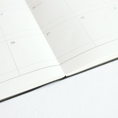 2021 Small Official Monthly Scheduler