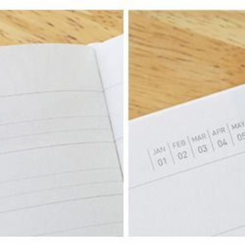 Peter Pan Diary Scheduler