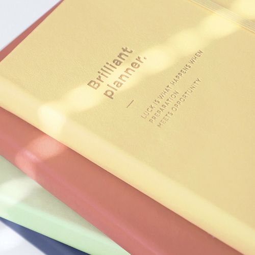 2021 Brilliant Daily Planner