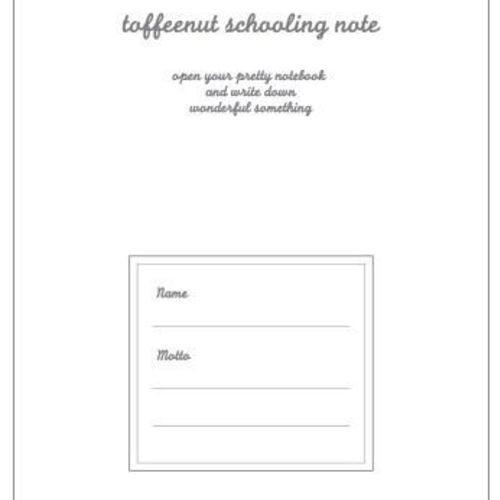 Small Toffeenut Lined Notebook - Image 15
