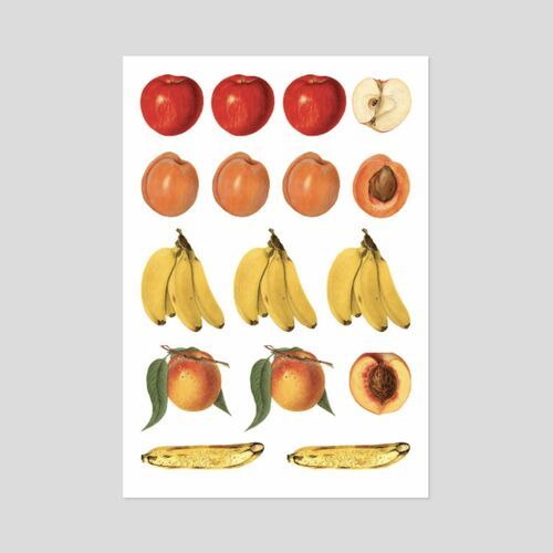 10pcs Fruit CYO Sticker Set