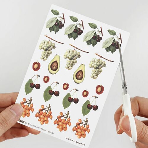 10pcs Fruit CYO Sticker Set