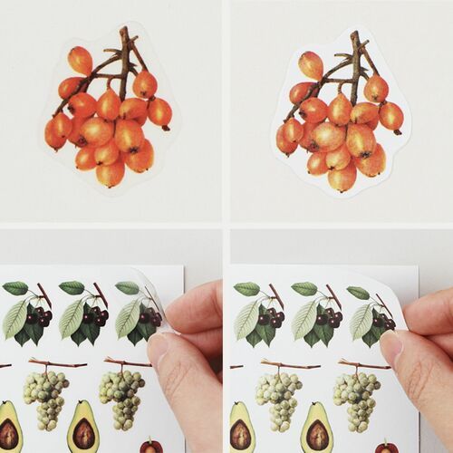 10pcs Fruit CYO Sticker Set