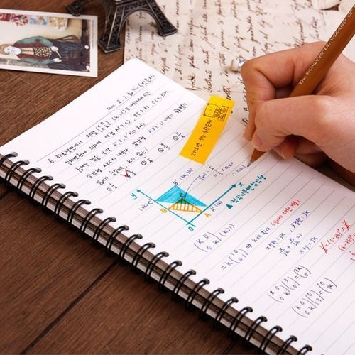 Paris Spring Notebook - Image 6
