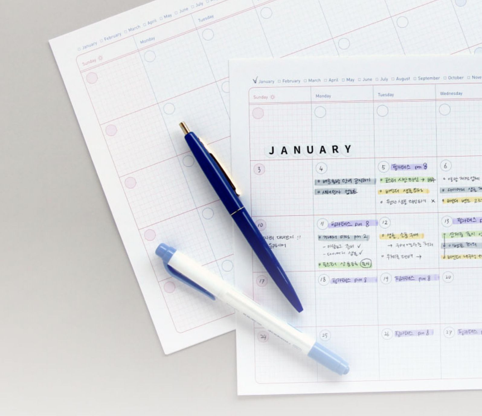 MochiThings Dateless A4 Monthly Desk Pad Refill