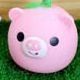 Animal Backpack Deco Strap, Pig