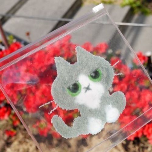 Transparent Kitty Pouch v1