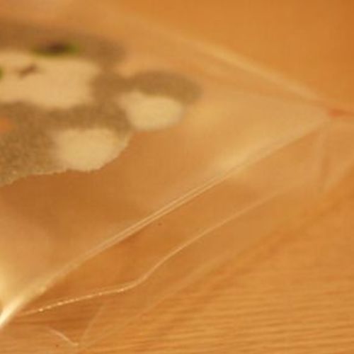 Transparent Kitty Pouch v1