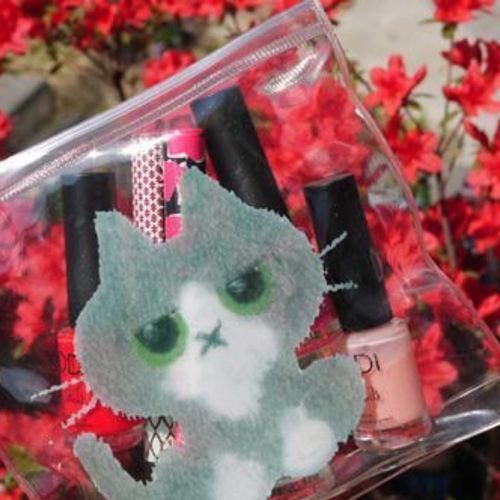 Transparent Kitty Pouch v1