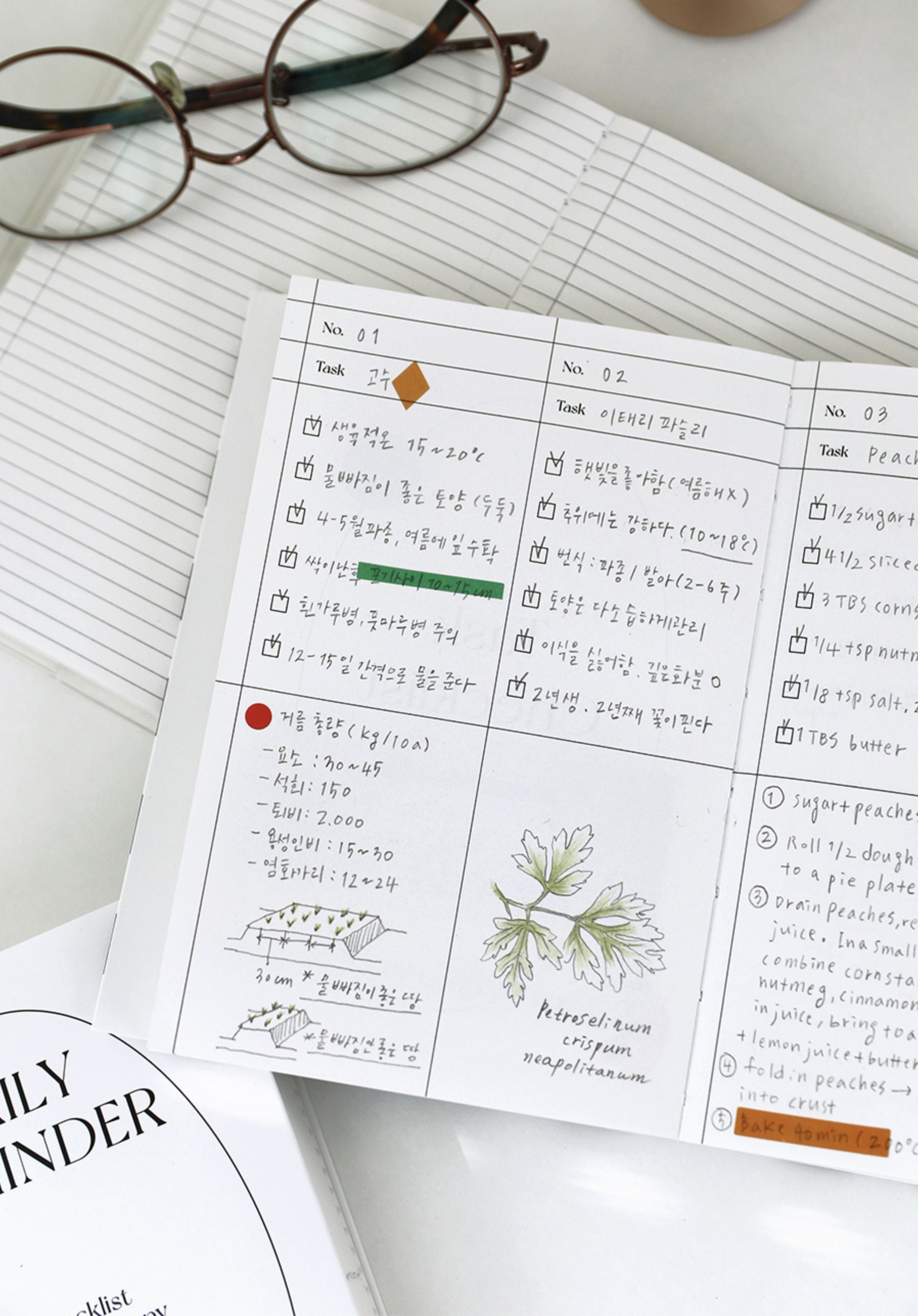 MochiThings: Daily Reminder Checklist Planner