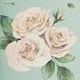 Large Blossom Notebook, Rose