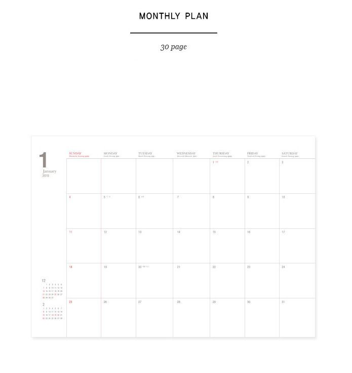 2015 Large Pattern Monthly Planner