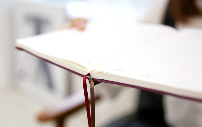 2015 Business Weekly Appointment Planner