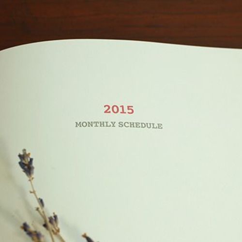 2015 Large Monthly Scheduler - Image 15