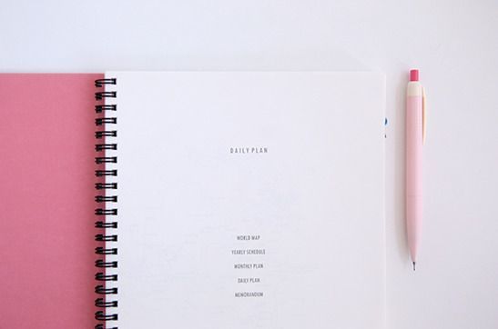 Large Daily Planner