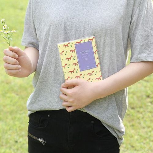 Lovable Instax Mini Album v2