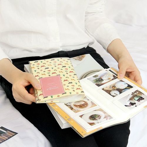 Lovable Instax Mini Album v2