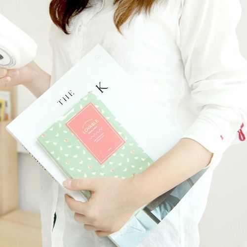 Lovable Instax Mini Album v2