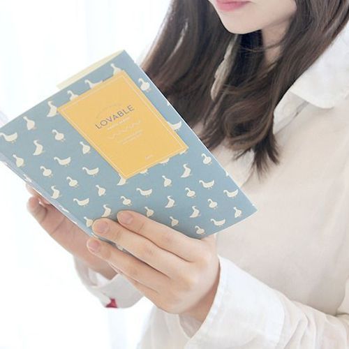 Lovable Instax Mini Album v2