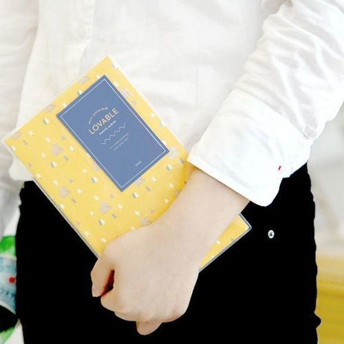 Lovable Instax Mini Album v2