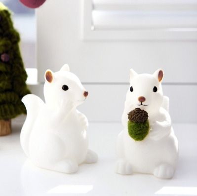 【美品】【希少品】Squirrel Bait 美品】【希少品】Squirrel Bait
