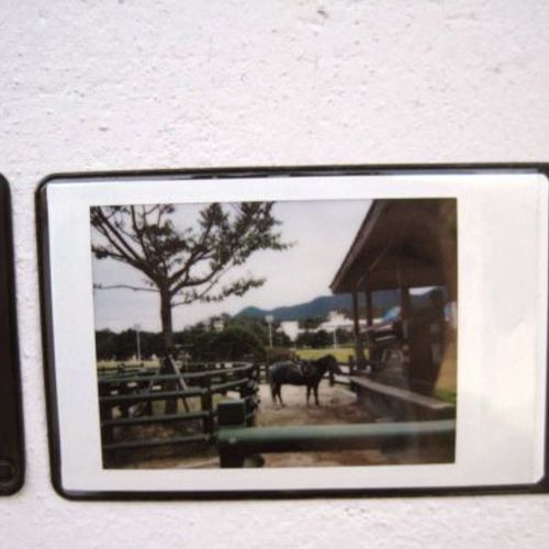 Instax Mini Pocket Sticker v4 - Image 3