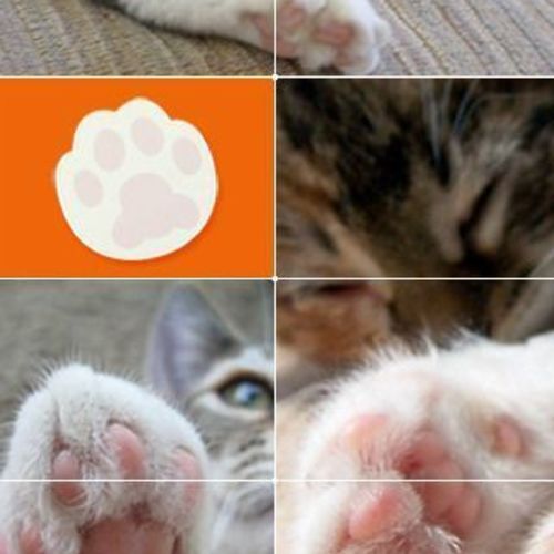 Kitty Sticky Note Collection - Image 5