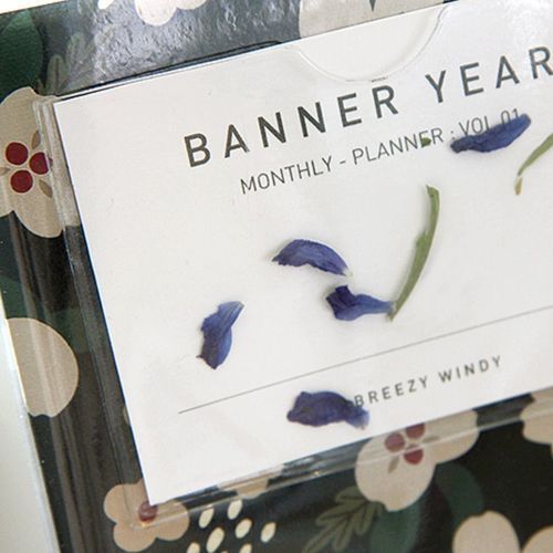 Medium Breezy Windy Monthly Planner - Image 9