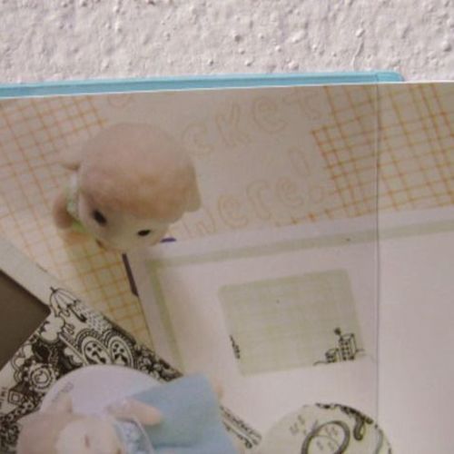 4x6 Photo Pocket Sticker Set