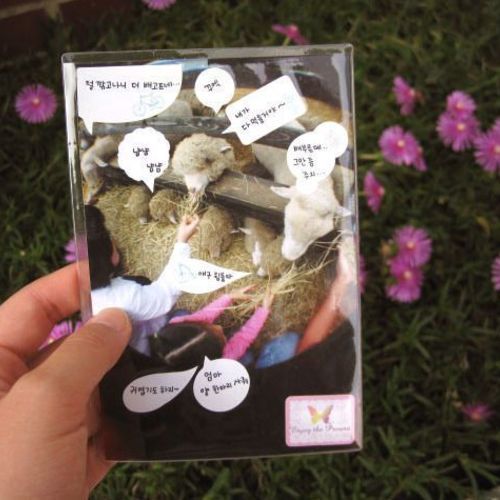 4x6 Photo Pocket Sticker Set
