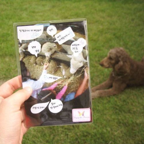 4x6 Photo Pocket Sticker Set