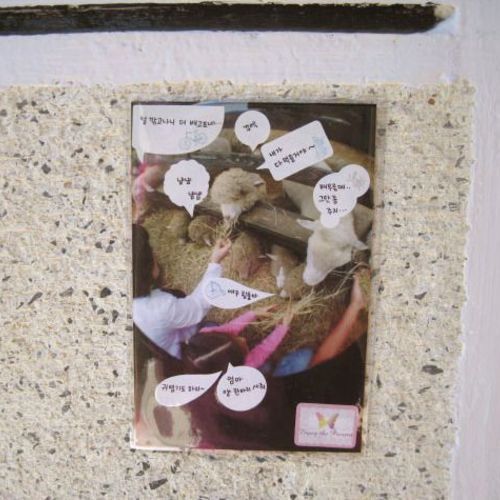 4x6 Photo Pocket Sticker Set