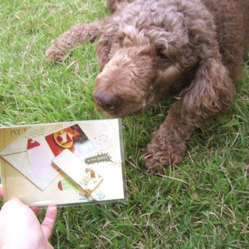 4x6 Photo Pocket Sticker Set