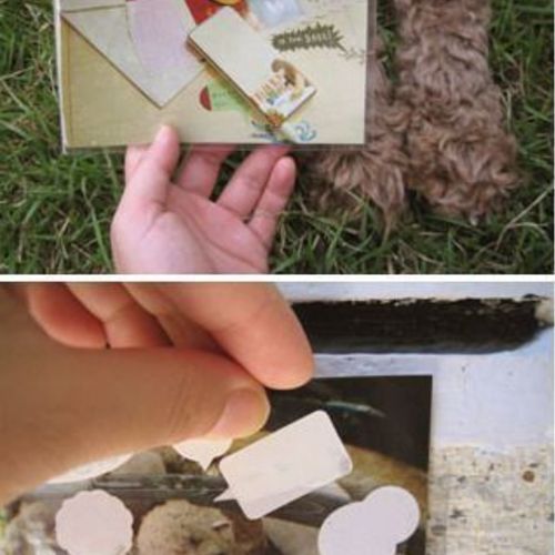 4x6 Photo Pocket Sticker Set