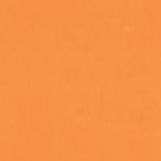 Pattern Memo Book, Tangerine