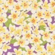 Pattern Memo Book, Frangipani