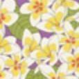 Pattern Scheduler v2, Frangipani
