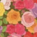 Pattern Scheduler v2, Rose Garden