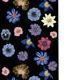 Nathalie Lete Slim Pattern Pen, Black_Blue Flower
