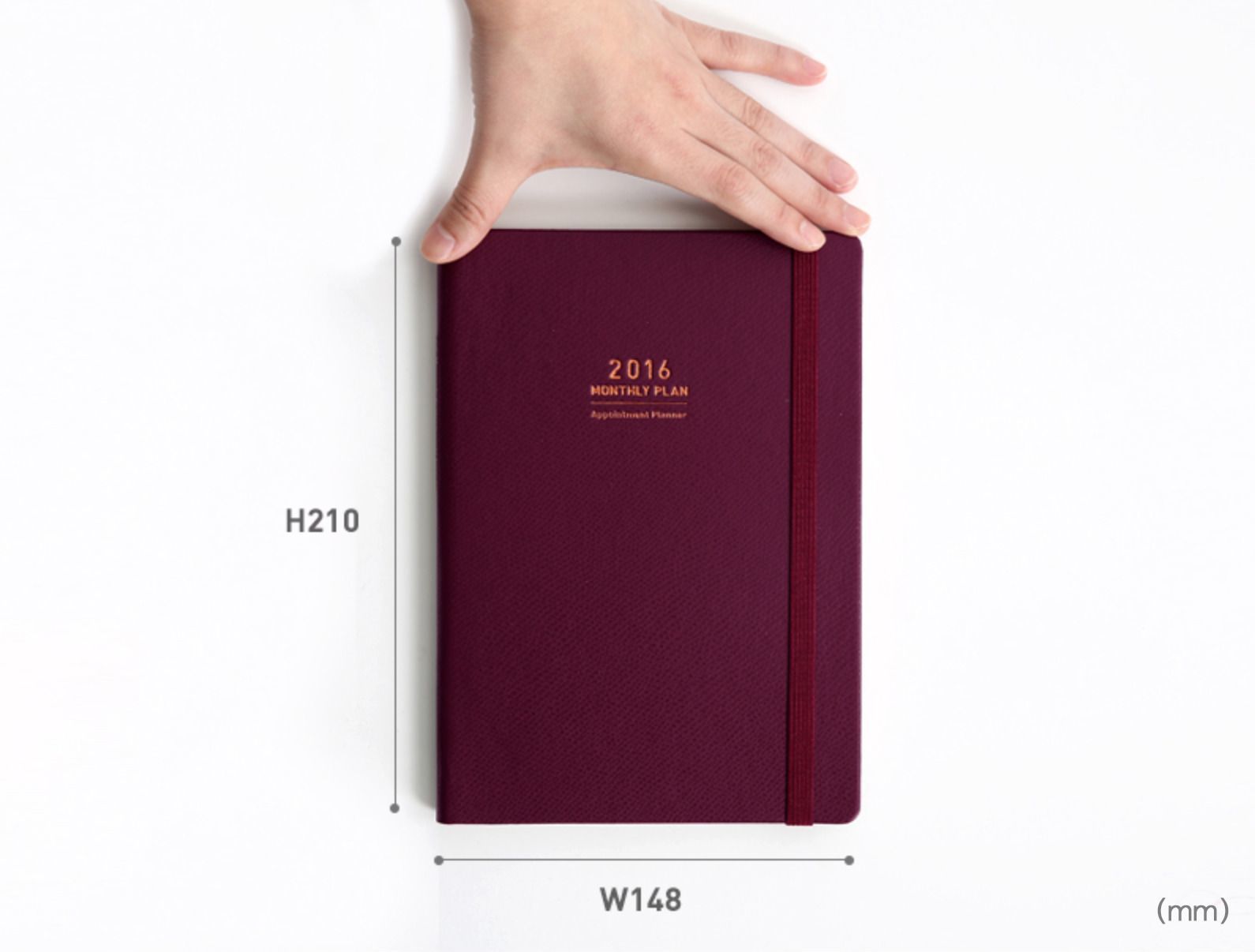 2016 Large Monthly Appointment Planner