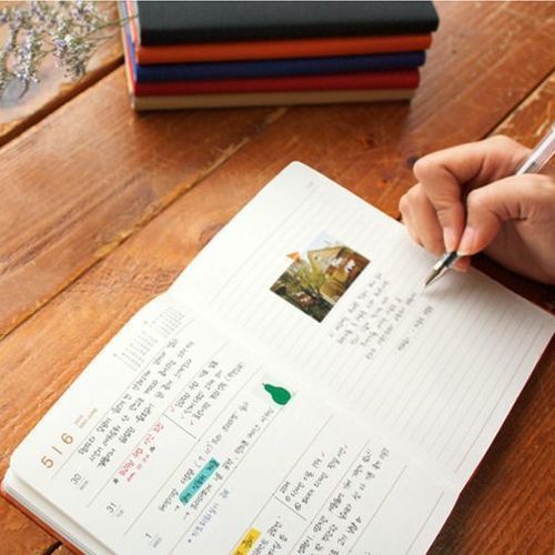 2016 Large Record Planner