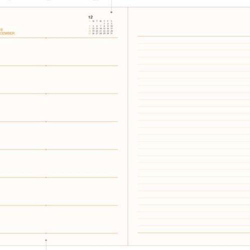 2016 Large Record Planner