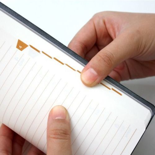 2016 Large Record Planner
