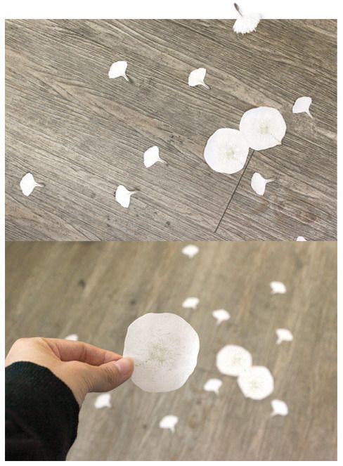 Dandelion Sticky Notes MochiThings: Dandelion Sticky Note