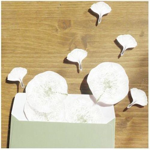 MochiThings: Dandelion Sticky Note