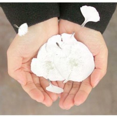 MochiThings: Dandelion Sticky Note