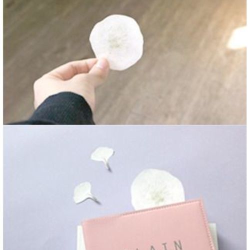 MochiThings: Dandelion Sticky Note