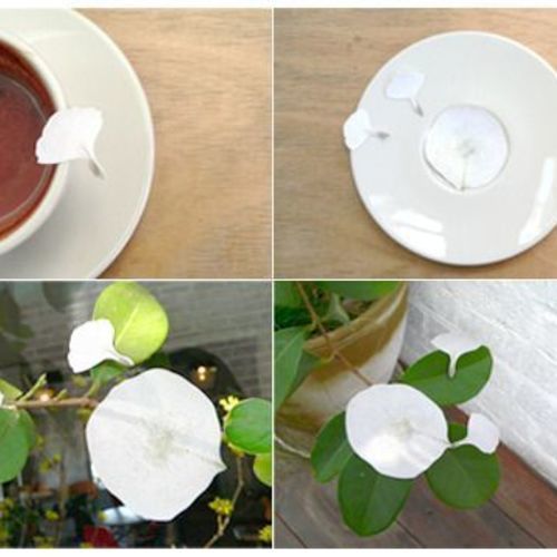 MochiThings: Dandelion Sticky Note
