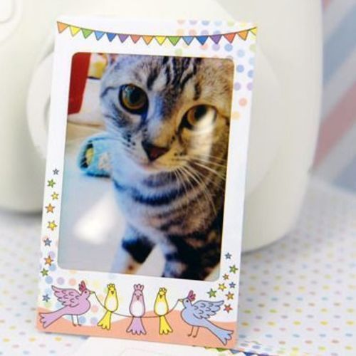 Animal Circus Instax Mini Film Frame Sticker Set - Image 7