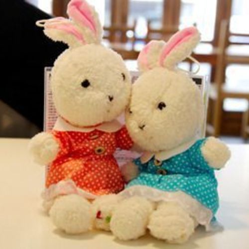 Couple Rabbit Pen Case